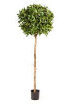 Kunstplant Laurier Bal Deluxe 140 cm, Huis en Inrichting, Kamerplanten, Verzenden