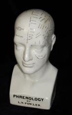 Parure de tête - Model Phrenology Hoofd - Dr. L.N.Fowler, Antiek en Kunst