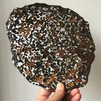 Sericho meteoriet Pallasiet - Hoogte: 245 mm - Breedte: 192, Verzamelen