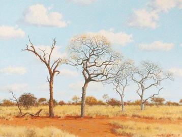 Martin Koch (1940) - Bushveld Landschaft, Antiek en Kunst