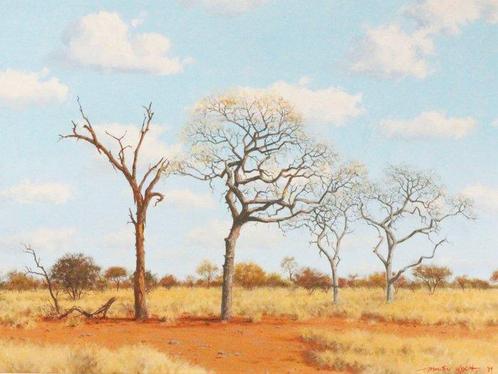 Martin Koch (1940) - Bushveld Landschaft, Antiek en Kunst, Kunst | Schilderijen | Klassiek