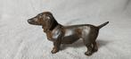 Pierre Chenet (XX-XXI) - Sculpture, Le Teckel ou Basset -