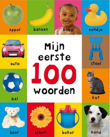 Boek: Mijn eerste 100 woorden (z.g.a.n.)