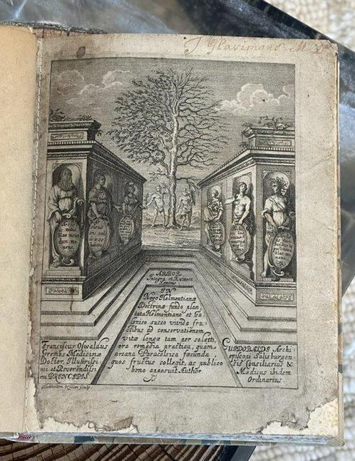 Francisco Oswaldo Grembs - Arbor Integra et Ruinosa Hominis, Antiek en Kunst, Antiek | Boeken en Manuscripten