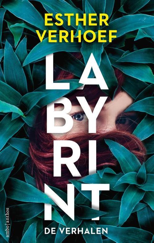 Labyrint- De verhalen 9789026351082, Livres, Thrillers, Envoi