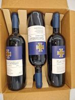 2016 Fontodi, Flaccianello della Pieve - Toscane IGT - 6