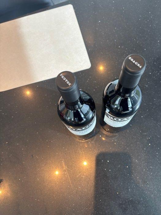 2013 Roagna, Barbaresco Pajè - Barbaresco - 2 Flessen (0.75, Collections, Vins