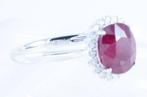 Zonder minimumprijs - Ring Platina - 3.54ct. tw. Robijn -, Nieuw