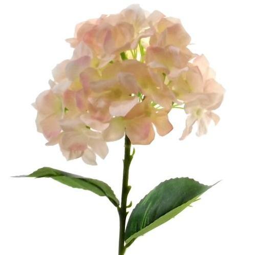 Hortensia 45cm. SINGLE HYDRANGEA Peach  Hortensia Peach, Huis en Inrichting, Woonaccessoires | Kunstplanten en Kunstbloemen, Nieuw