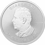 5 Troy Ounce - Argent .999 - Maple Leaf 2026 - 155,5 gram -