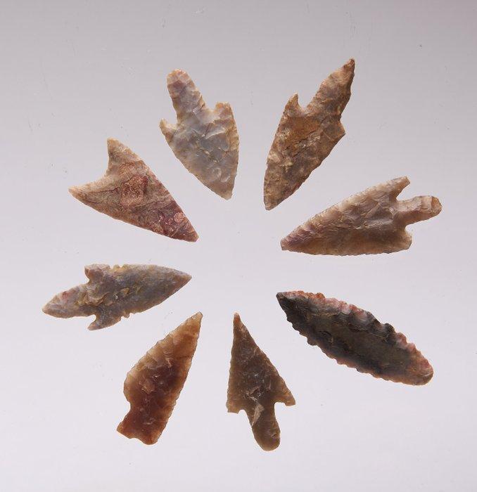 Neolithic tenere flint Pijlpunt - 35 mm (Zonder, Antiquités & Art, Antiquités | Autres Antiquités