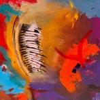 Willy Kammeijer - Finally