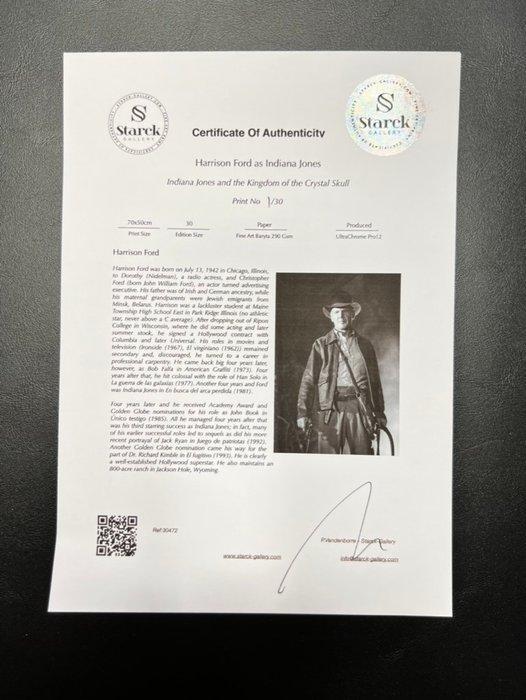 Harrison Ford - Indiana Jones and the Kingdom of the Crystal, Verzamelen, Film en Tv