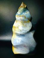 Polished Ocean Jasper Flame en mettant en vedette Plage et, Collections