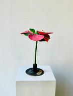 Anatomisch model - Papier-maché - 1920-1930, 1930-1940 -