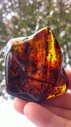 Baltisch amber - Cognac - Robijnkleurige steen met, Collections
