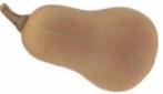 Ponca Butternut pompoen 250 zaden