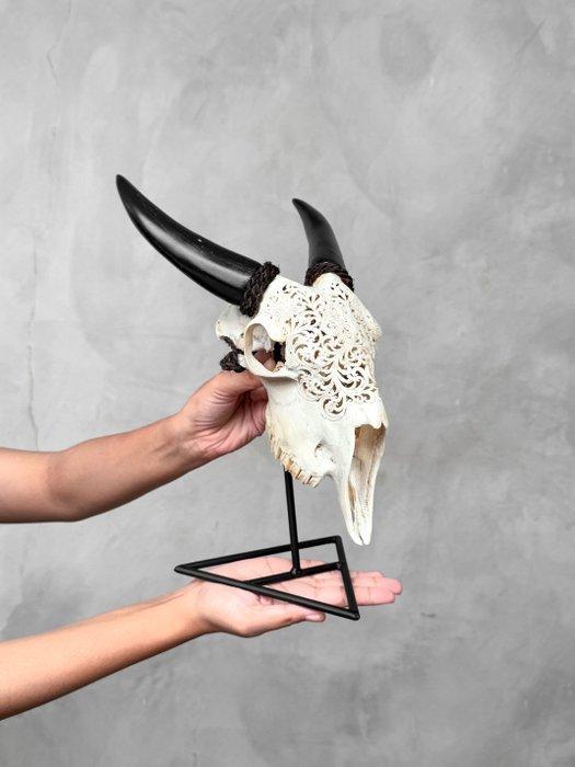 Geen minimumprijs - Witte gegraveerde geiten schedel -, Antiquités & Art, Curiosités & Brocante