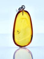 Ambre - One-of-a-Kind Baltic Amber Pendant – Female MOSQUITO