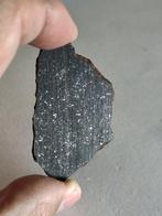 Tzarev Chondrite meteoriet - Hoogte: 59 mm - Breedte: 35.4