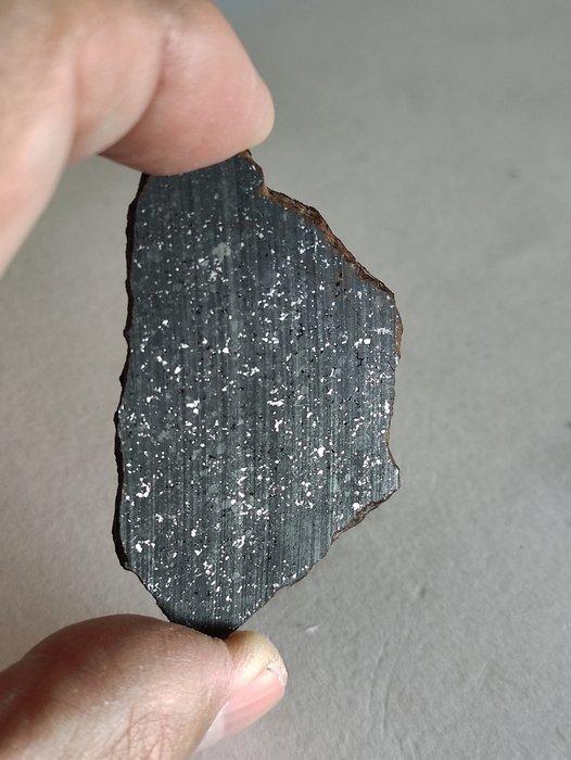 Tzarev Chondrite meteoriet - Hoogte: 59 mm - Breedte: 35.4, Verzamelen, Mineralen en Fossielen