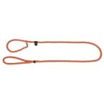 Laisse avec collier intégré maxi safe, orange, 170cmx12mm -, Dieren en Toebehoren, Honden-accessoires