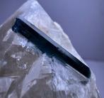 Verbazingwekkende donkerblauwe Indicoliet Toermalijn Kristal, Verzamelen