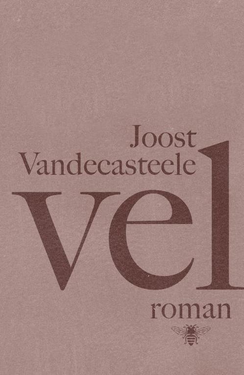 Vel 9789085424499 Joost Vandecasteele, Boeken, Romans, Gelezen, Verzenden