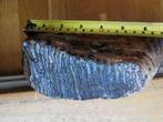 Wolharige mammoet - Fossiele tand - 16 cm - 27 cm, Verzamelen, Mineralen en Fossielen
