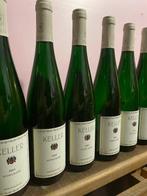 2024 x2, 2023 x2, 2022 x2 Keller Scheurebe - Rheinhessen - 6, Nieuw