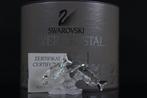 Swarovski - Figure - Swarovski - Tropische Vissen (Boxed +