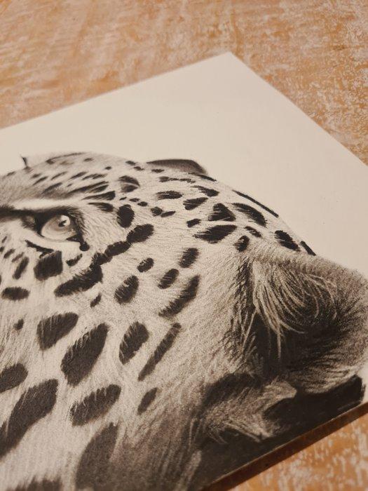 Ryan Bothma - Fierce Serenity, Antiquités & Art, Art | Peinture | Moderne