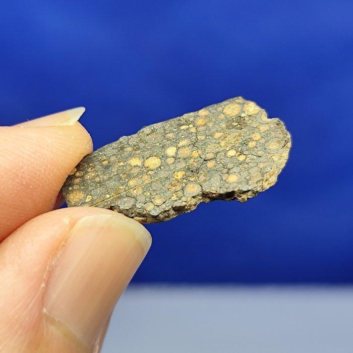 -2,7 cm, snede - RARE METEORITE CR2 - Carbonaceous Chondrite, Verzamelen, Mineralen en Fossielen