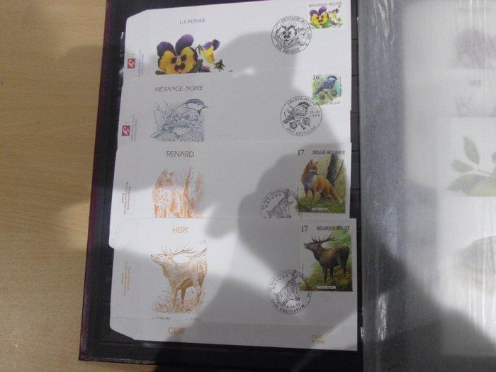 België - Verzameling FDCs, waaronder op zijde -, Timbres & Monnaies, Timbres | Europe | Belgique