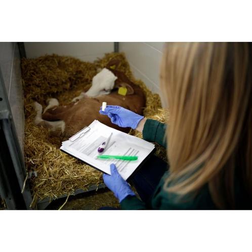Bolus bufferlyt tampon et électrolytes - kerbl, Zakelijke goederen, Landbouw | Veevoer