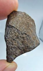 Carbonatische meteoriet CO3, NWA 16415. Geen minimale