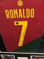 Portugees Nationaal Team - Europese voetbal competitie -, Nieuw