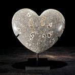 Decoratief ornament - NO RESERVE PRICE - Stunning pair of