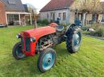 1954 Massey Ferguson TE20 Oldtimer tractor, Zakelijke goederen, Nieuw