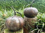 Decoratief ornament (2) - Schitterende ijzeren pompoenen -