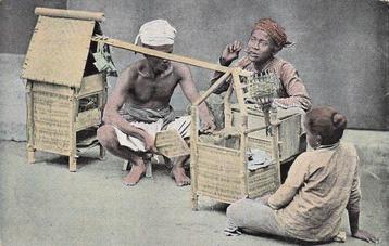 Indonésie - Indes orientales néerlandaises avec cartes photo