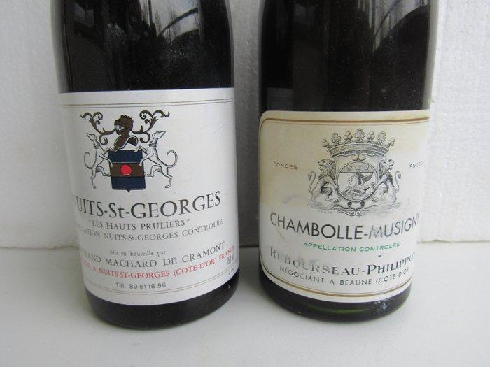 1993 Nuits Saint Georges Les Haut Pruliers Machard de, Collections, Vins