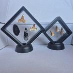 Fossiel - Fossiele tand - Bijzondere set van 7 unieke