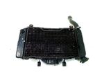 Yamaha TDM 850 1996-2001 437V RADIATEUR, Motoren, Onderdelen | Yamaha, Gebruikt