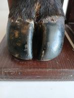 Serre-livres (2) - Bois - Pés de Bufalo, Antiek en Kunst