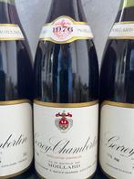 1976 Moillard, Gevrey-Chambertin - Gevrey Chambertin - 3, Verzamelen, Wijnen, Nieuw