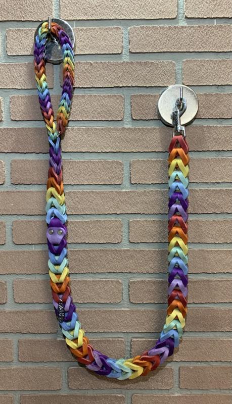 Lederen honden riem Rainbow, Auto-onderdelen, Overige Auto-onderdelen, Nieuw, Ophalen of Verzenden