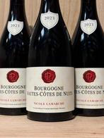 2023 Nicole Lamarche - Bourgogne Hautes Côtes de Nuits - 3, Nieuw