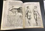 Baptista della Porta - De humana physiognomonia... - 1586