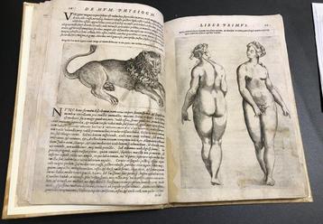 Baptista della Porta - De humana physiognomonia... - 1586